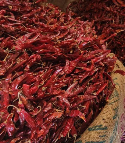 341-guntur-red-chillis