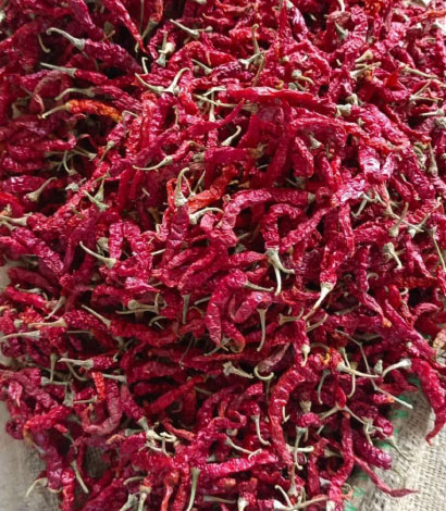 355-byadgi-red-chillis