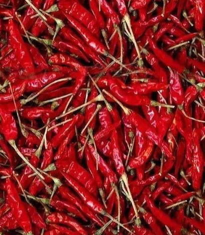 414-guntur-red-chillis