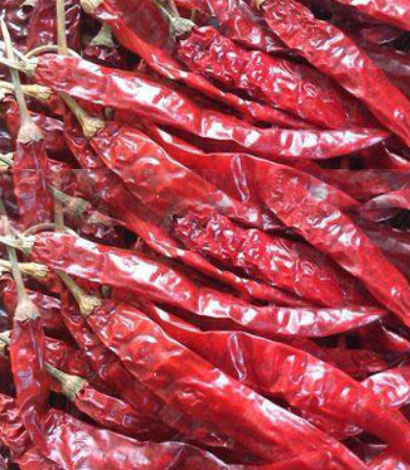 guntur-endo5-red-chillis