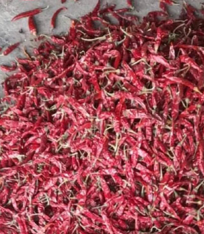 guntur-classic-red-chillis