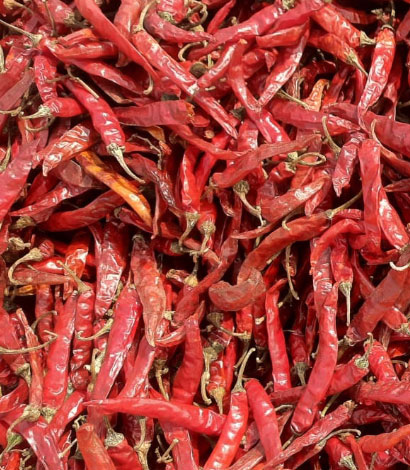 arumr-guntur-red-chillis