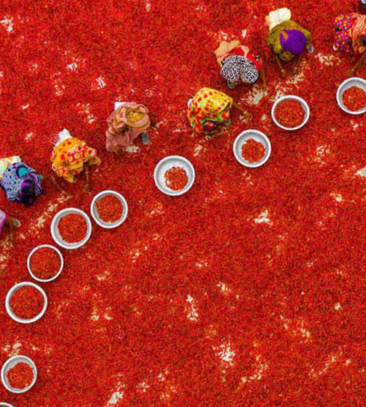 guntur-royal-india-spices