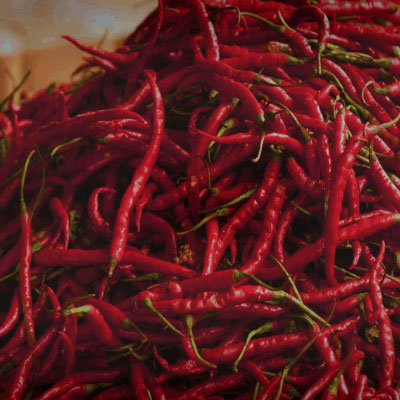 latest-red-chilli-price-list
