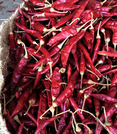 334 Sannam Red Chilli