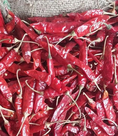 spark01-red-chillis
