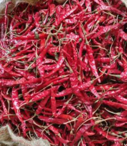 Teja s17 Red Chillis